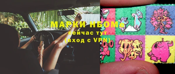 индика Кукмор
