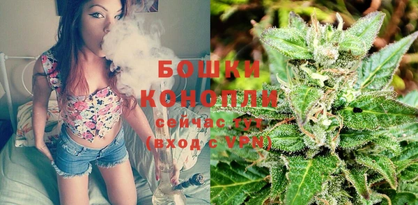 ECSTASY Новодвинск